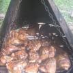 Bar-B-Q chicken